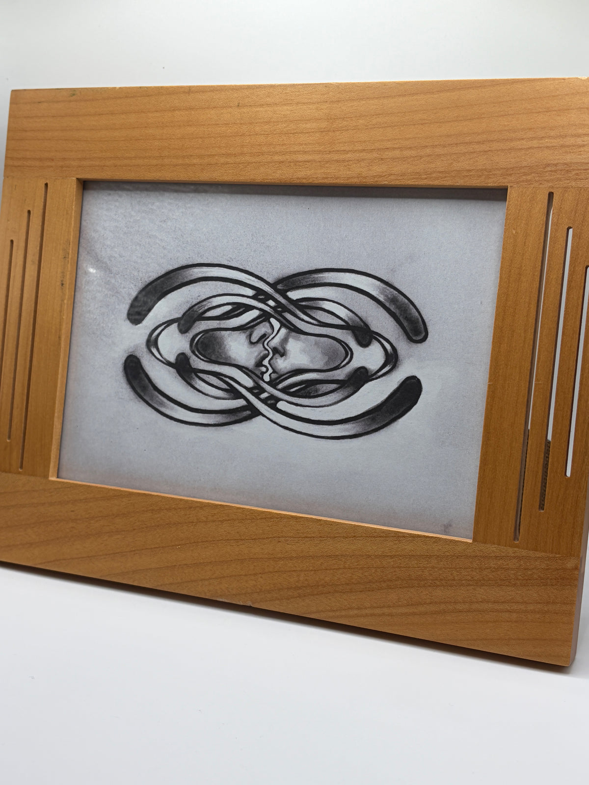 Secret Orchestra Print Framed