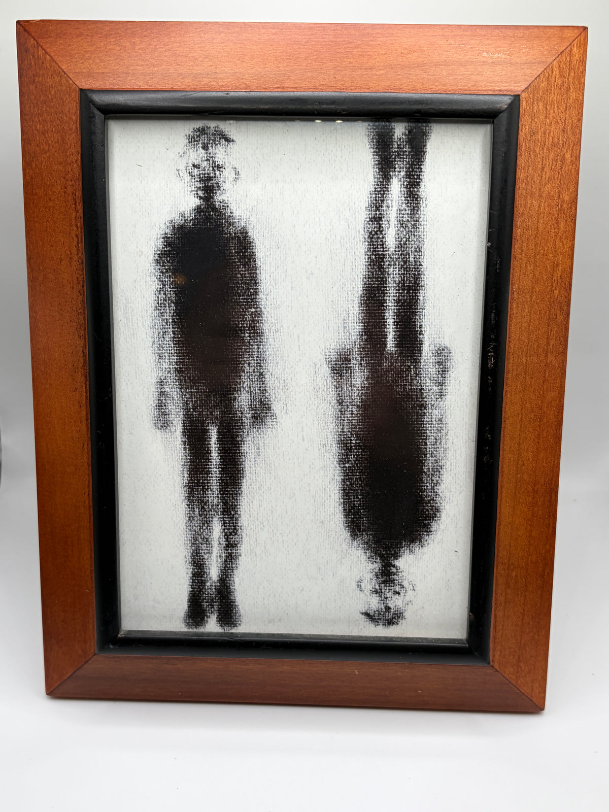 Twins Print Framed