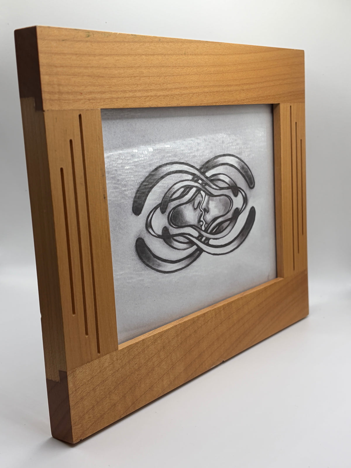 Secret Orchestra Print Framed
