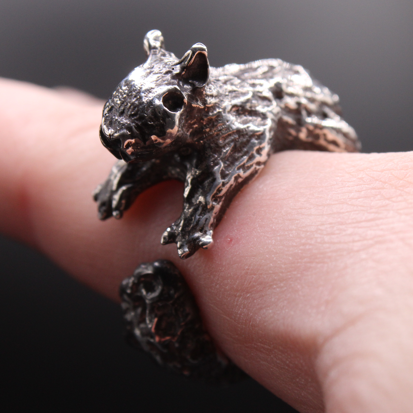 Squirrel Ring