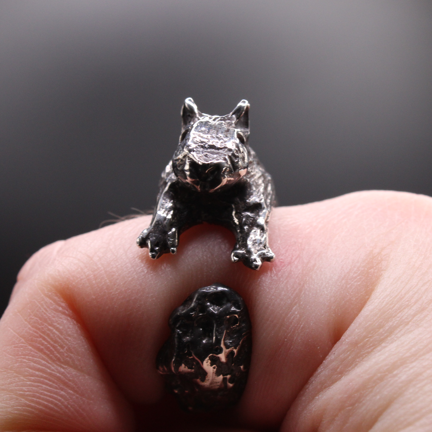 Squirrel Ring